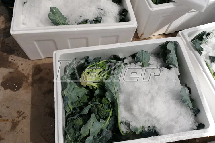 农产品保鲜项目 日产44吨大型直冷块冰机